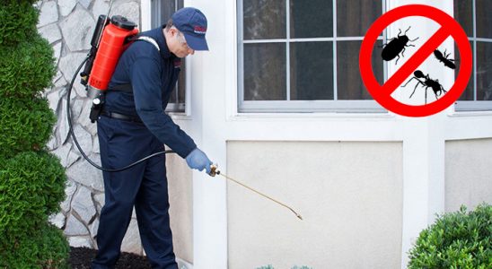 Beytüşşebap Böcek ve Haşere İlaçlama böcek ilaçlama ve haşere kontrolü — ilaclama-tr.com